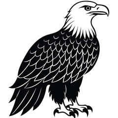 American bald eagle Vactor

