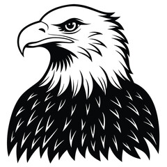 American bald eagle Vactor
