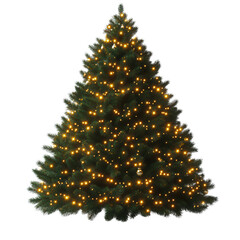 Christmas tree icon isolated on white background.PNG