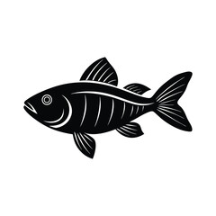 fish isolated on white background