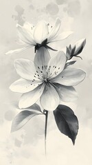 Elegant grayscale blossom, delicate art, watercolor backdrop