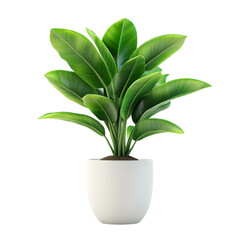 Lush Green Plant in White Pot Home Decor Natural Beauty