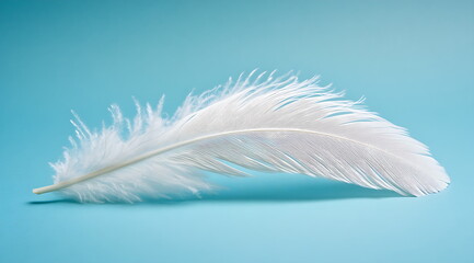 Fototapeta premium White feather on a white background