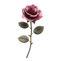 Single Pink Rose Stem Black Background Elegant Flower Botanical Illustration