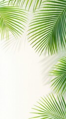Fototapeta premium Minimalist Tropical Palm Leaves with Soft Shadows on a Light Background for Natural Summer and Botanical Aesthetic Design