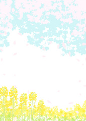 桜と春の空　菜の花畑