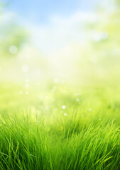 Beautiful blurred spring nature background with young green juicy grass against blue sky on a sunny...