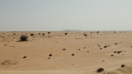 The drone flies over a desert with sparse green vegetation among sand dunes