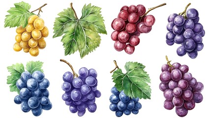 Colorful Grapes with Leaves
