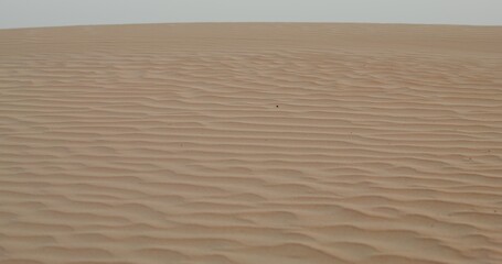 Patterns on sand in the desert. The video moves from sand waves to a general view of the desert with a sandy haze