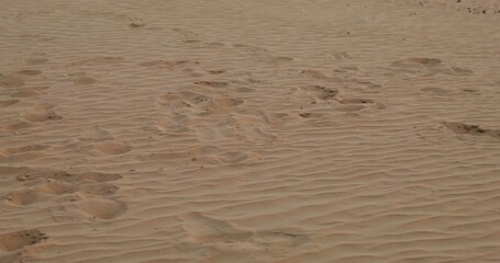 A woman runs barefoot on yellow sand in the desert, close-up of women's legs, no face