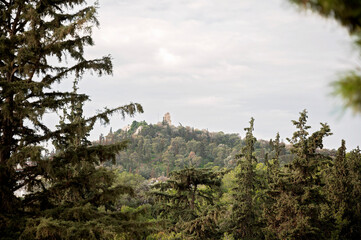 Lush green hill in Athens with a historic monument atop