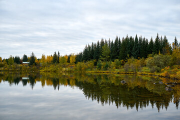 Autumn forest reflecting in a calm lake under cloudy sky