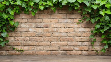 Brick Wall with Ivy, Natural Background, Suitable for Product Presentation