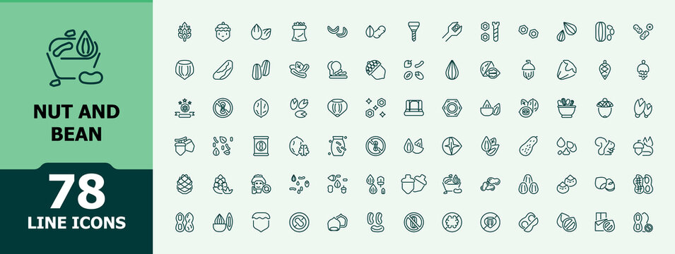 Set of nut and bean line icons. Containing seeds, bean, nut, cashew, hazelnut, snack and more. Minimalist editable vector stroke. Outline icon. Vector illustration in modern line style.