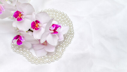 The branch of white orchids on white fabric background
