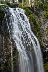 This stunning waterfall cascades gracefully through a peaceful forest, highlighting the beauty of nature and the soothing sounds that flow from the water's movement.
