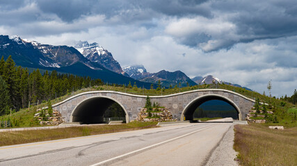 A stunning wildlife overpass connects both sides of the road amid lush trees and mountains, showcasing a seamless blend of nature and wildlife preservation efforts.