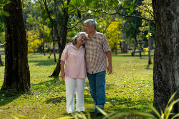Fototapeta premium Romantic elderly couple holding hands looks happy in the park