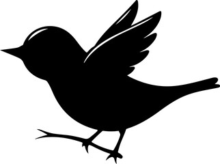 silhouette of a bird