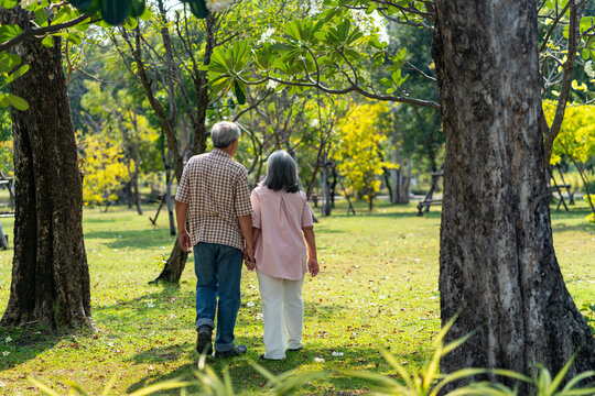 Romantic elderly couple holding hands looks happy in the park