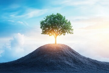 Tree standing alone on hill blue sky with clouds