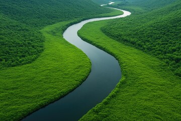 Winding river flows through lush green hills, showcasing vibrant