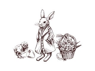 easter bunny with basket, chick and eggs, vintage hand drawn sketch © Mariia Mazaeva