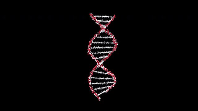DNA Strand Science molecule design icon, concept animation with alpha channel