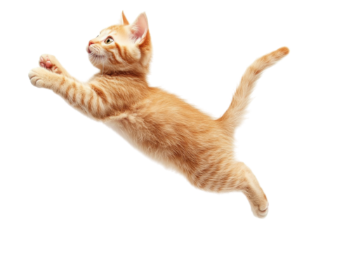 A Ginger Kitten in Mid-Air Leap: Playful Paws and Graceful Flight