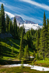Snow-capped mountains rise majestically above a lush evergreen forest, creating a stunning backdrop that embodies the beauty and grandeur of nature.