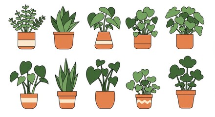 Fototapeta premium Illustrated Collection of Potted Houseplants with Various Leaf Designs for Home Decor and Gardening Concepts