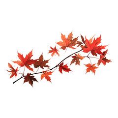 Stunning Autumn Maple Leaves Branch Illustration Isolated White Background Red Orange Brown Fall Foliage Botanical Art Nature Decor Seasonal Design Maple Tree