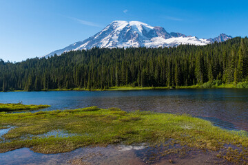 Mount Rainier towers majestically over a serene lake, providing a breathtaking backdrop filled with lush greenery and reflections in the tranquil waters of the forest.