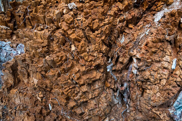An intricate close-up view of a brown rock surface reveals layered textures and colors, highlighting the complexity and beauty of natural geological formations.