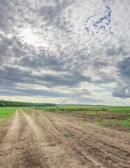 Field with a dirt road and a cloudy sky