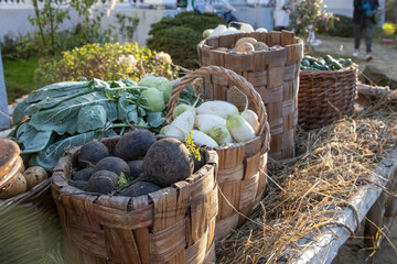 Table with baskets of vegetables including potatoes, squash, and beans