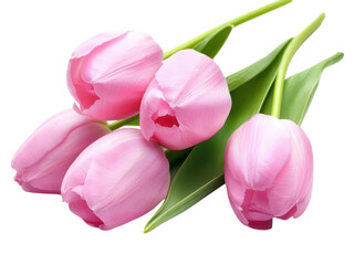 Fototapeta premium Delicate Pink Tulips Bouquet: A Closeup of Spring Blooms