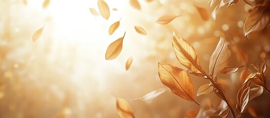 Golden autumn leaves softly falling against a warm, blurred sunlight backdrop with shades of amber and gold creating a serene atmosphere.