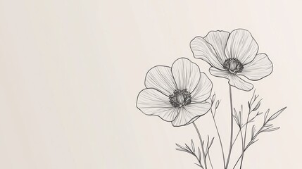 Minimalistic floral drawing of two poppies on cream background