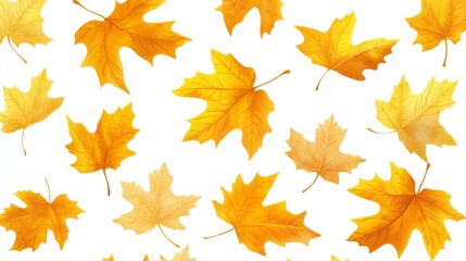 Fototapeta premium Autumn maple leaves pattern on white background with vibrant yellow and orange colors