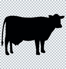 Cow silhouette isolated on white background. EPS 10