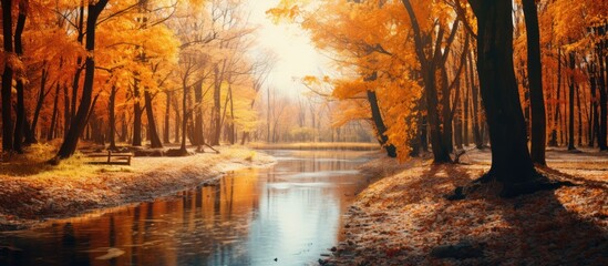Fototapeta premium Vibrant autumn forest landscape featuring orange yellow and red leaves with serene river reflecting sunlight filtered through trees