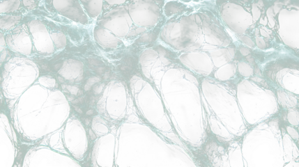 a spider web spider web spider web spider web spider web spider web spider web spider web spider web spider web