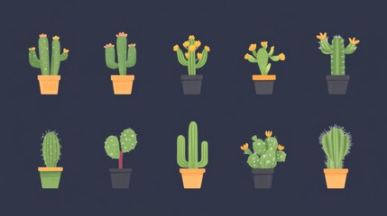 Collection of various cacti in colorful pots on dark background