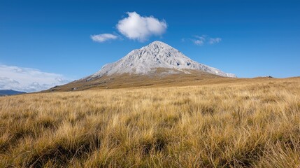 Mountain peak autumn landscape, clear sky, golden grass, travel poster