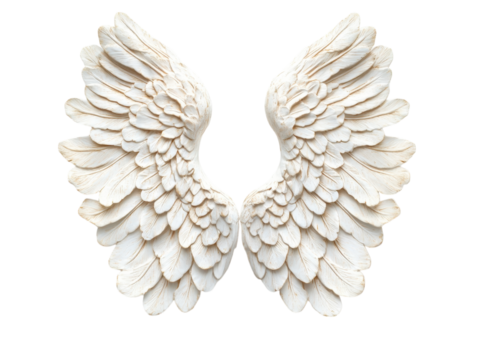 Elegant Pair of White Angelic Wings: A Symbol of Freedom and Spirituality