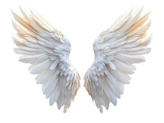 Obraz premium Majestic White Angel Wings: A Symbol of Freedom, Hope, and Divine Grace