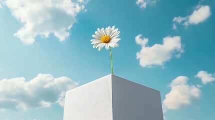 A Single Daisy Blooming Under a Sky Full of Clouds