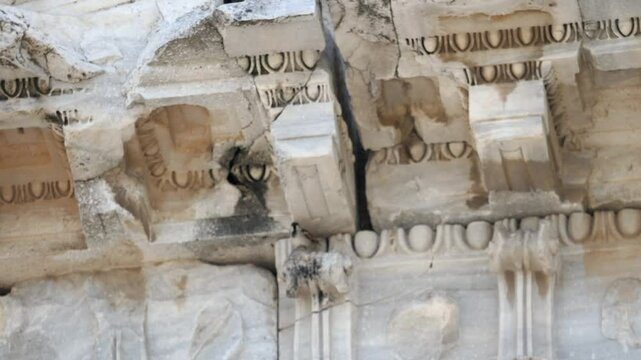 Bird nesting inside ancient columns